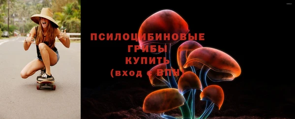 МДМА Богданович
