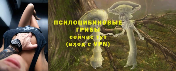 спиды Бугульма