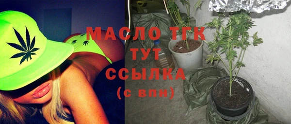 амф Бородино