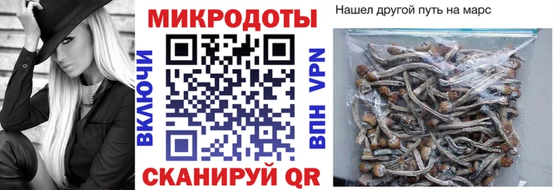 Галлюциногенные грибы GOLDEN TEACHER  Ветлуга 
